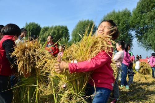 魏县：鸭梨采摘游庆祝农民丰收节无极4荣耀