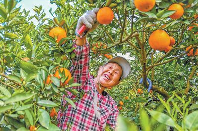 无极4荣耀主管帐号