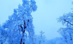 <b>边城饶河50无极4最大总代年来首次五月降雨夹雪</b>