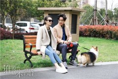 <b>《谁说我结不了婚》热播 无极4平台代理潘粤明童</b>