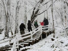 <b>惊喜！下雪了！无极4平台总代理第一场雪来啦！</b>