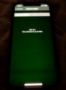 <b>苹果承认iPhone 12系列绿屏现象，无极加速器正加</b>