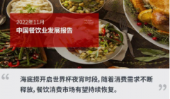 无极4平台代理2022年11月中国餐饮业发展报告