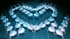 无极4平台总代理国际视野下的芭蕾创作与表演