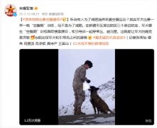 <b>你知道吗无极4平台？其实军犬也要一早一晚“空</b>