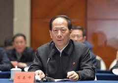 无极4荣耀主管石泰峰当选中华海外联谊会会长