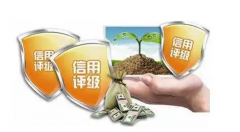 无极加速器郑州市出台房地产企业信用激励措施
